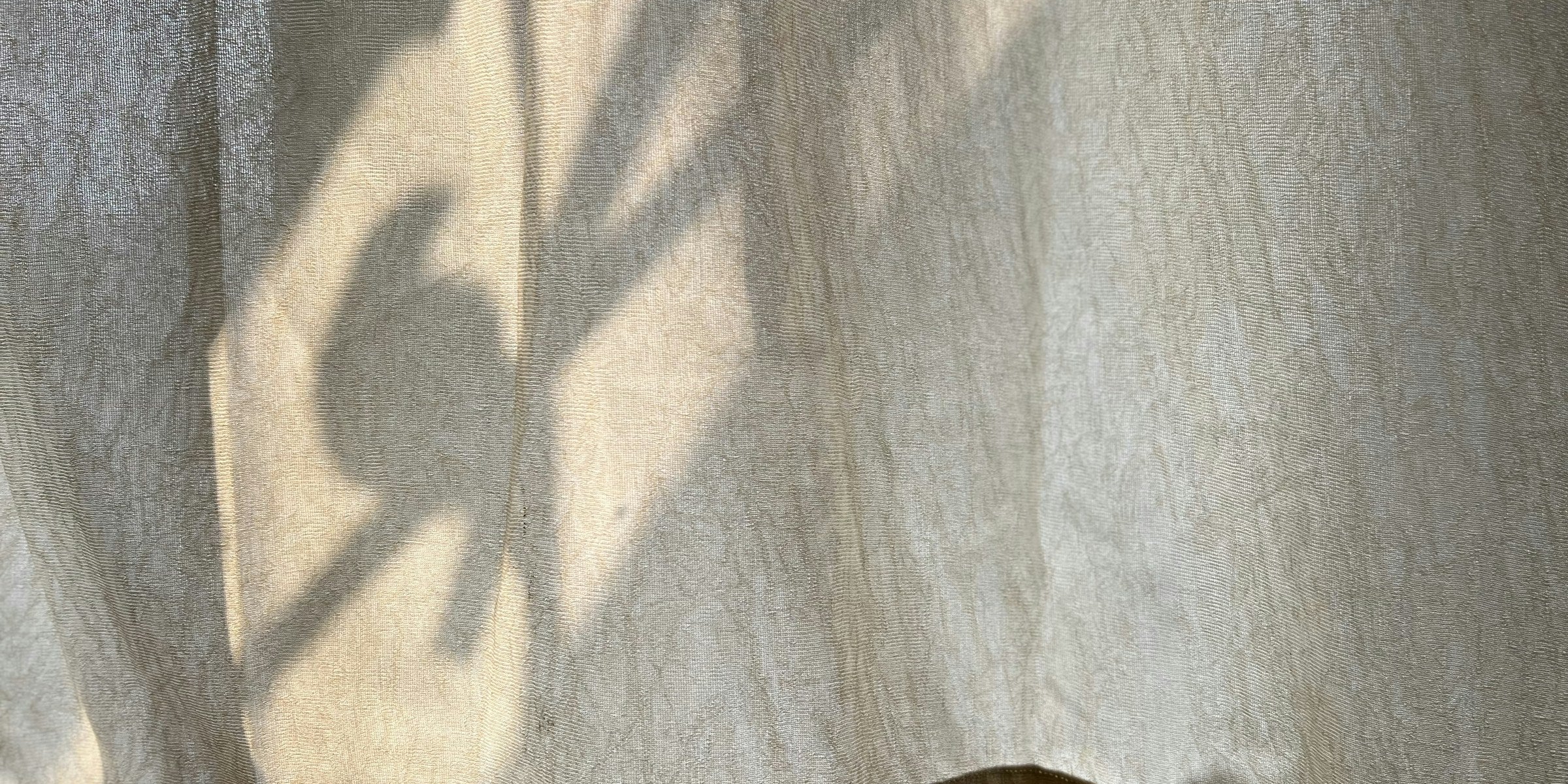 Soft morning light on linen